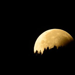 Mondfinsternis, Untergang hinter dem Wald