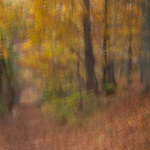 weg mit hund 2