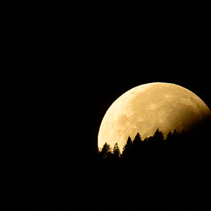Mondfinsternis, Untergang hinter dem Wald