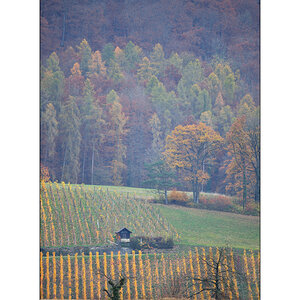 MorgenPZ1 0296