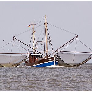 D71 0147 Kutter Cux