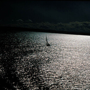 Segler im Oslo Fjord