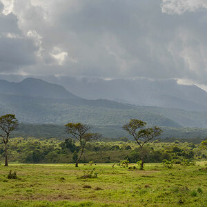 tansania arusha np 1