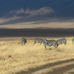 tansania ngorogoro morgens 2
