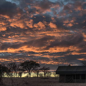 tansania serengeti sonnenaufgang