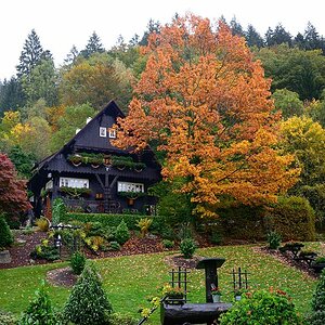 Bei Schapbach 2015 16084