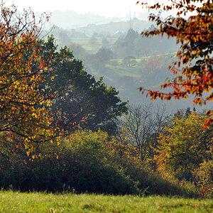 DSC 5259 Herbst