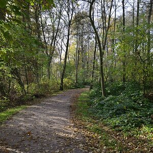 Wanderweg im Herbst