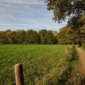 Verbindungswald