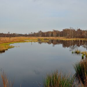 Herbstfarben am See