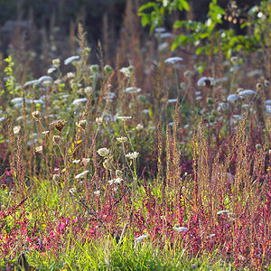 DSC 5241 Herbst