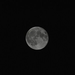 DSC 2946 1024