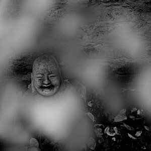 Buddha sw