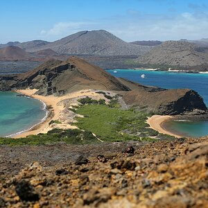 ECU 2014 1JEH Galapagos Galapagos 6846