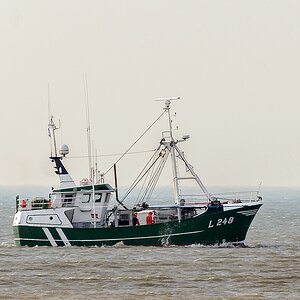 TZ ZIM 5367