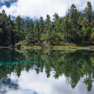 green lake Pisang klein