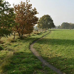 kleiner Weg zwischen den Wiesen