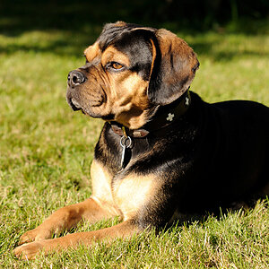 DSC 0198 014 ak