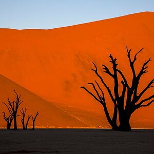 Namibia 2014 JNM 4992