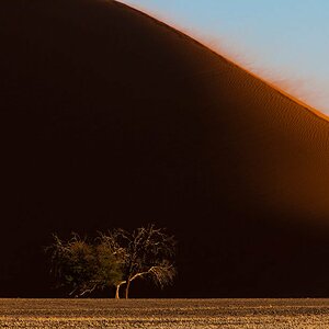 Namibia 2014 JNM 5368
