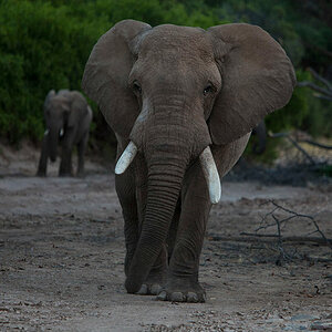 Namibia 2014 JNM 8358