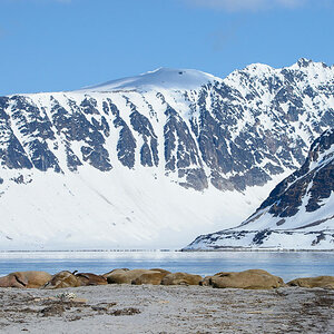 Spitzbergen 2015 SPE 02 DSC8188
