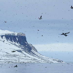 Spitzbergen 2015 SPE 13 DSC4140