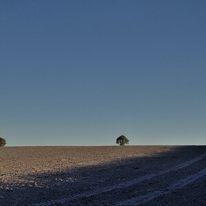 Compressed Astrup 3