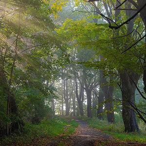 Herbst003