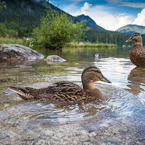 Hintersee 001