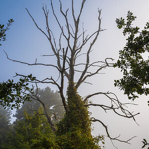 Herbst004a