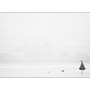 WasserDSC 6502