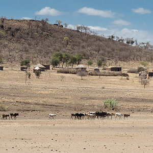 tansania weg natron 2