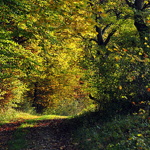 DSC 5190 Herbst