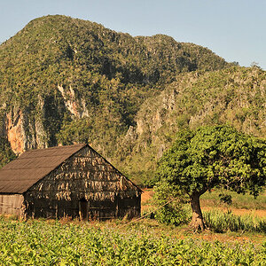 Tabakschuppen im Valle de Vinales
6107