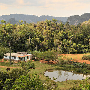 Farm im Valle de Vinales
6343
