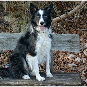 paddy an der fulda