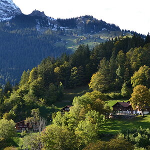 Herbstlich