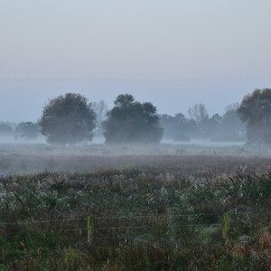 Herbstmorgen