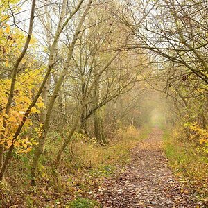Herbstweg