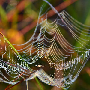 Perlenschmuck