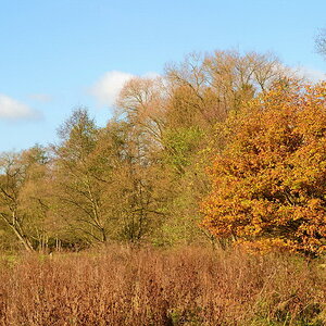 Schon wieder Herbst