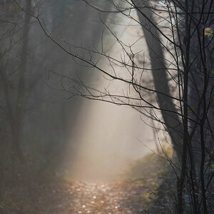 wald 20151206