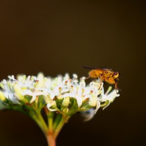 DSC 5453 DxO.1.2