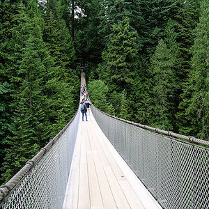 Suspension Bridge Vancouver