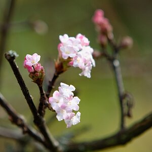 DSC 5323 DxO.1.2