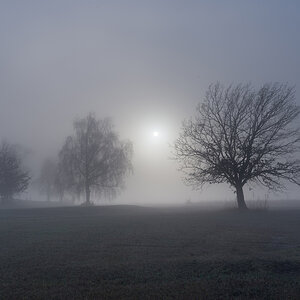 IMG7112 01