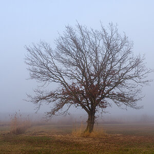 IMG7120 Bearbeitet 01