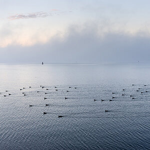 IMG7137 Bearbeitet 01