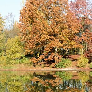 Marienberg Weiher